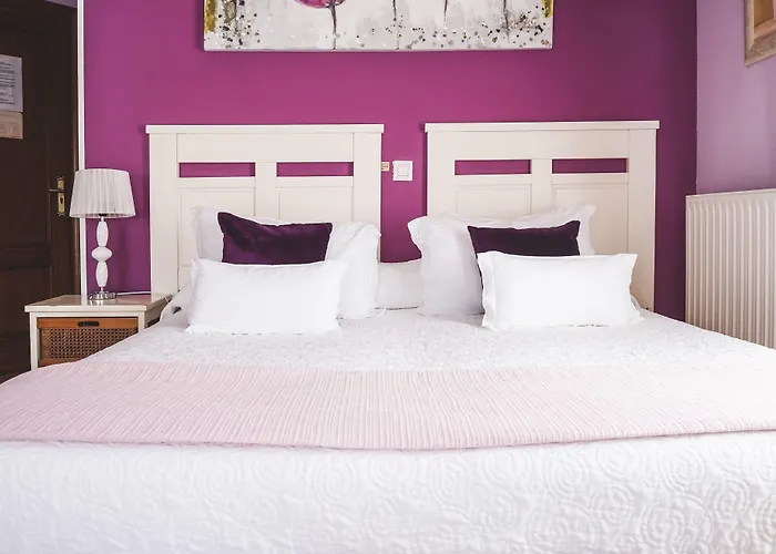 בית הארחה Docar